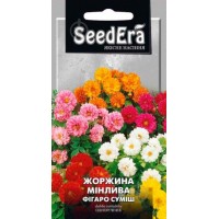 Семена Георгина "Фигаро смесь" 0,5г